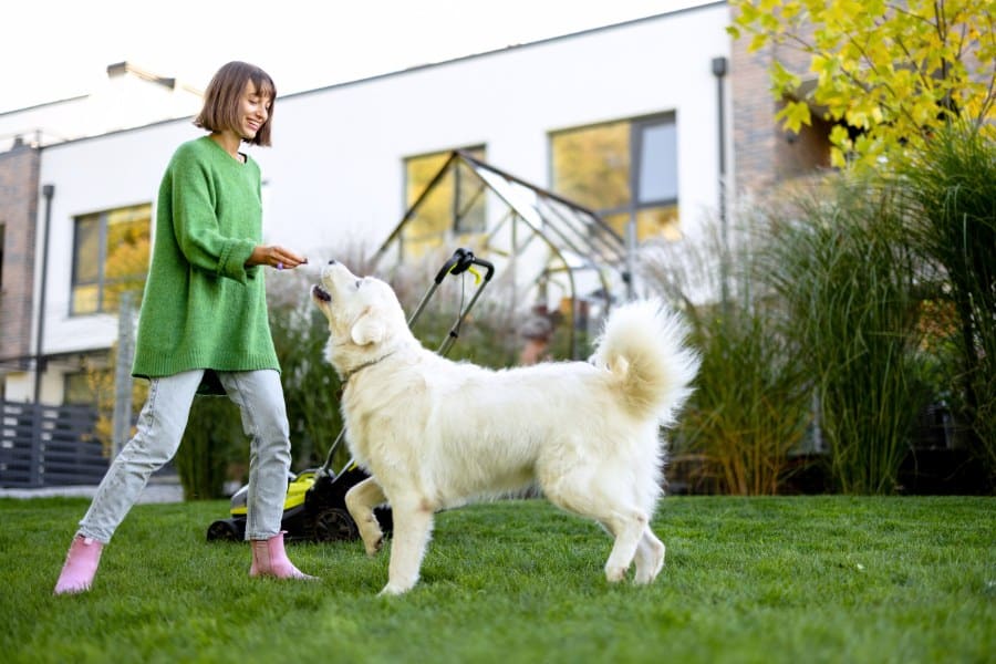 Woman Playing with Her Dog at the Backyard