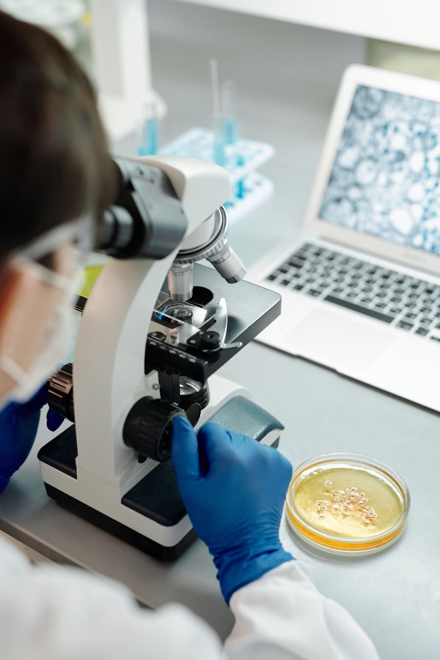 Researcher examining samples through a microscope with a petri dish in a lab setting.