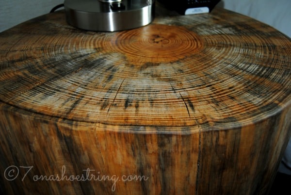 Schlitterbahn tree Schlitterbahn tree