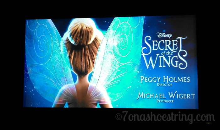 Secret of the Wings