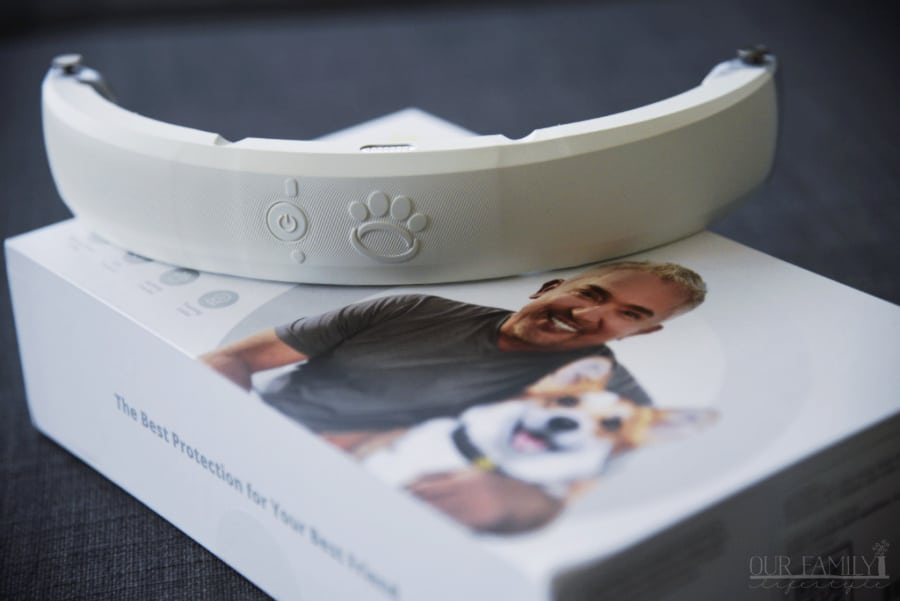 smart collar for dogs
