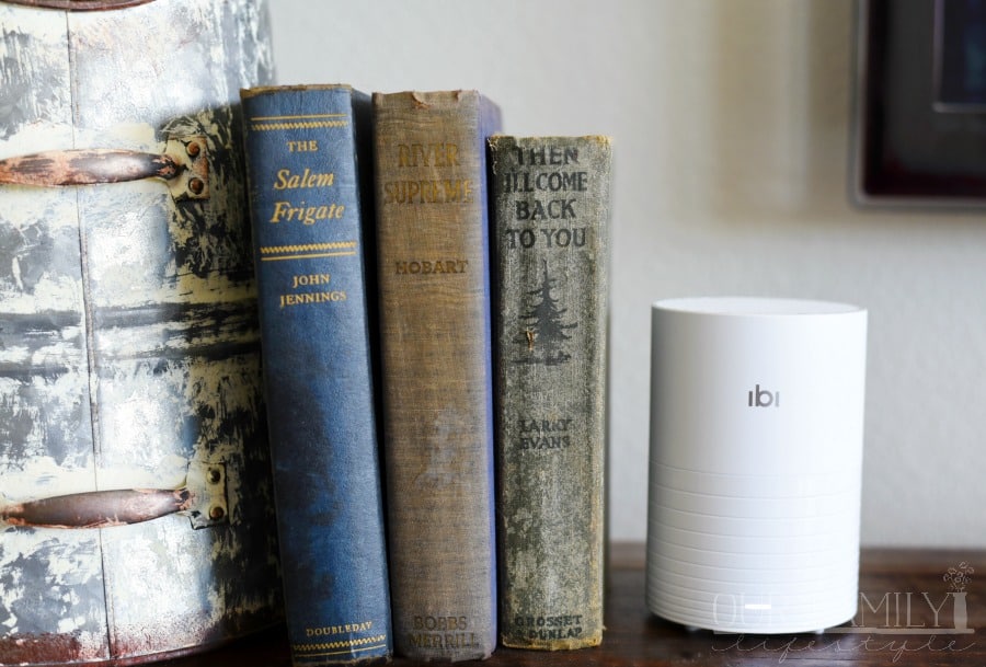 Store Your Photos with ibi