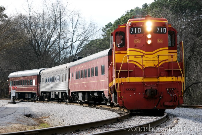 Tennessee Valley Railroad