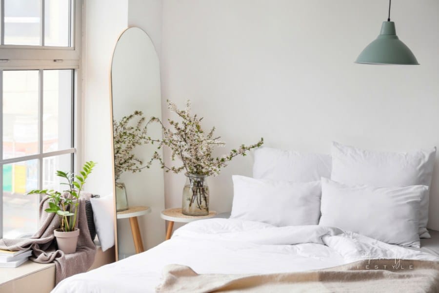 Interior of Modern Bedroom with Wall Mirror, bedside tanle with plant, and windowsill with plant and books