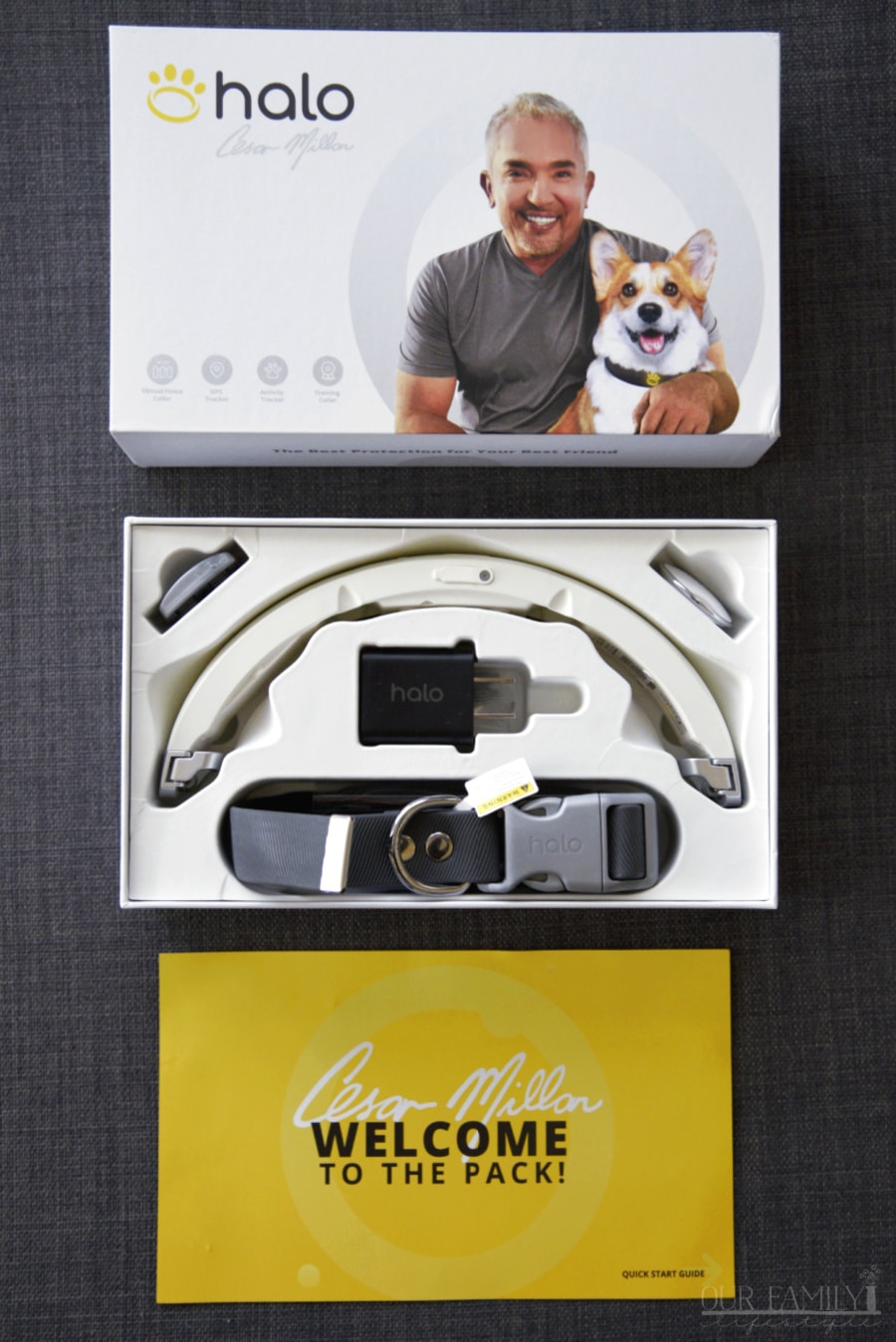 The Halo Collar by Cesar Millan