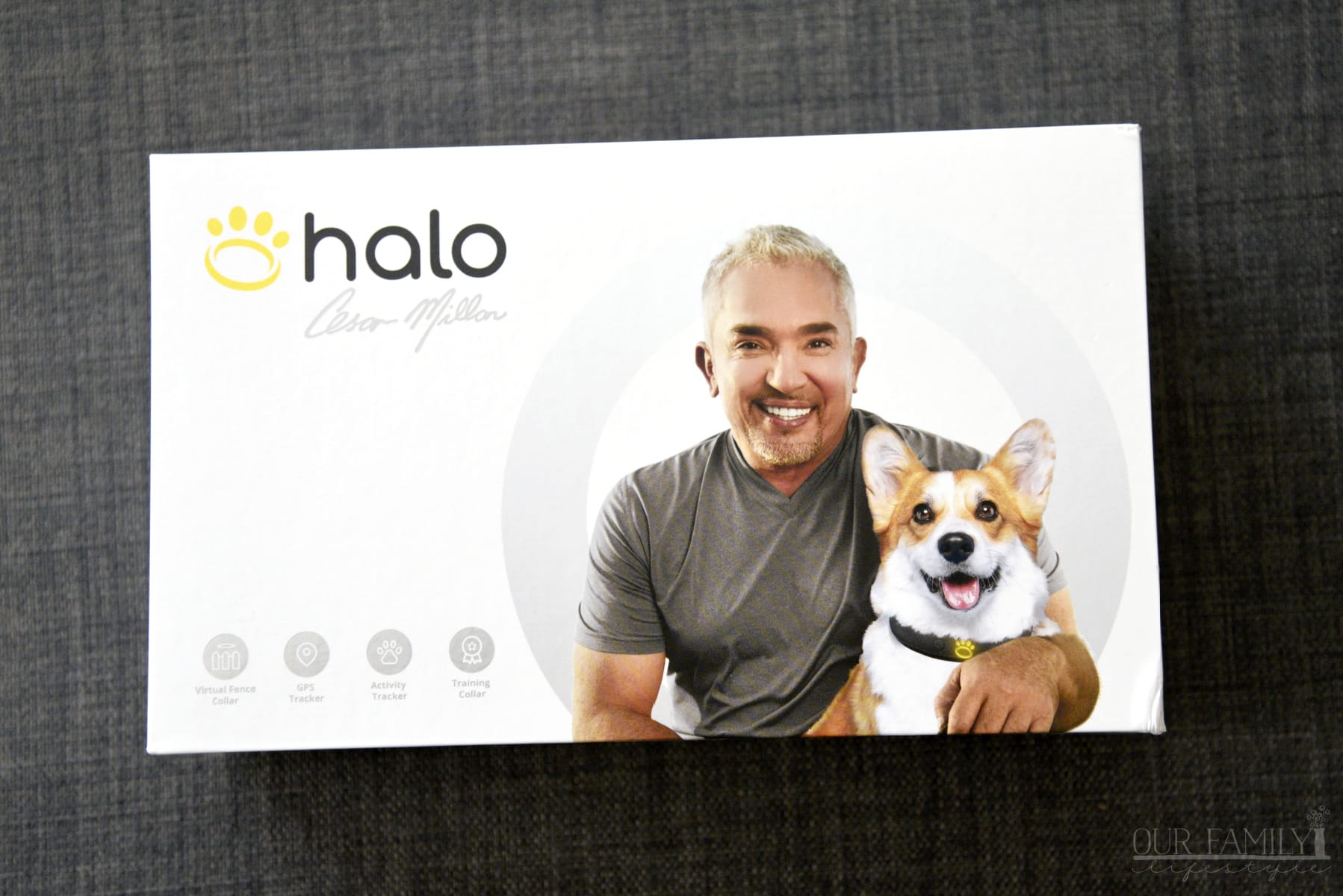 The Halo Collar Cesar Millan