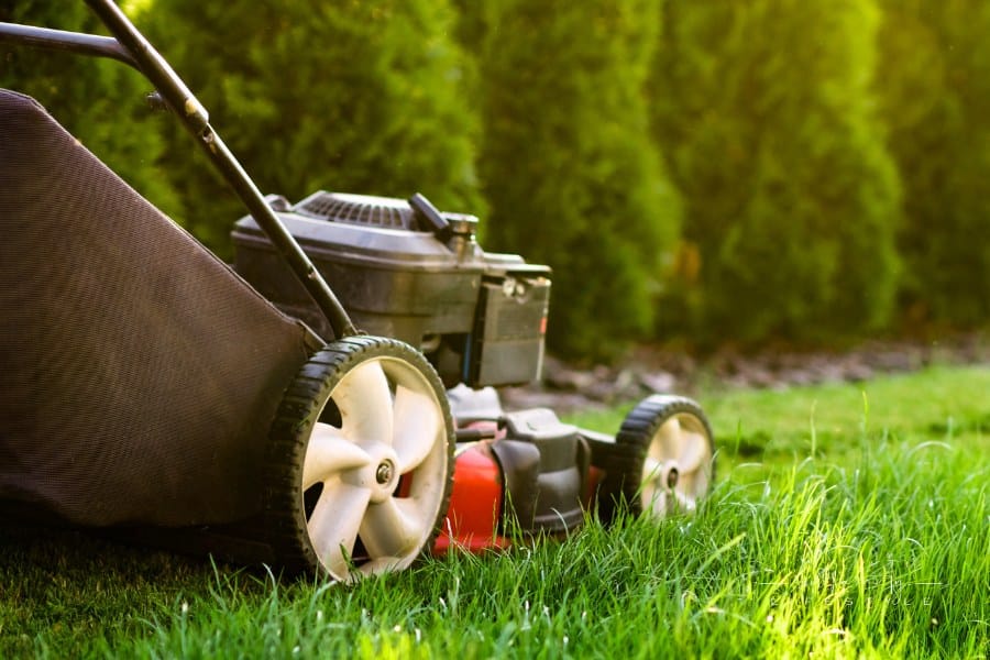 Lawn mower on green grass at sunset