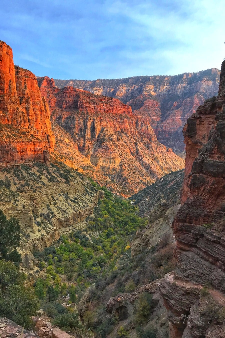 Grand Canyon, Arizona