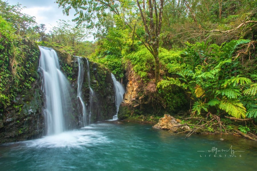Hana Waterfall in jungle of Maui