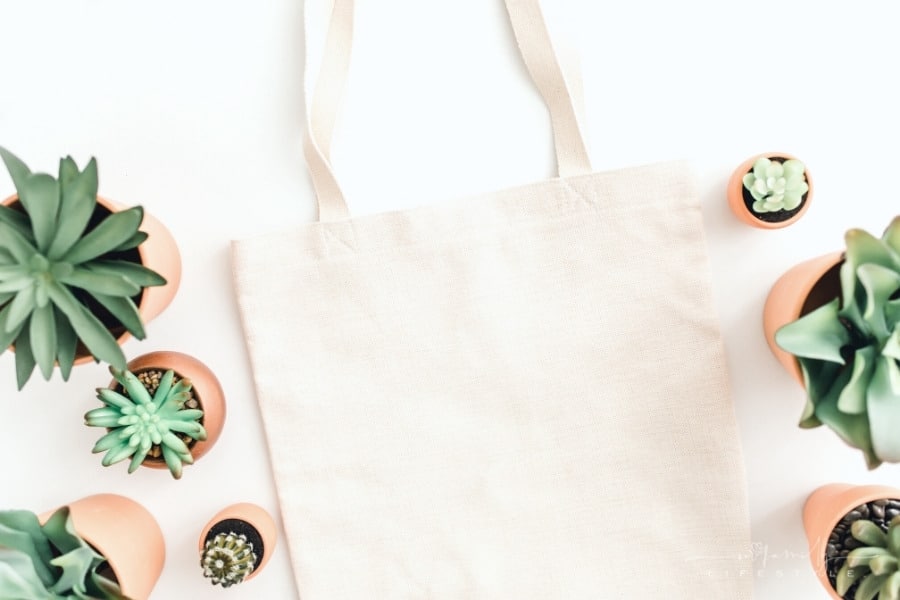 tote bag with succulents