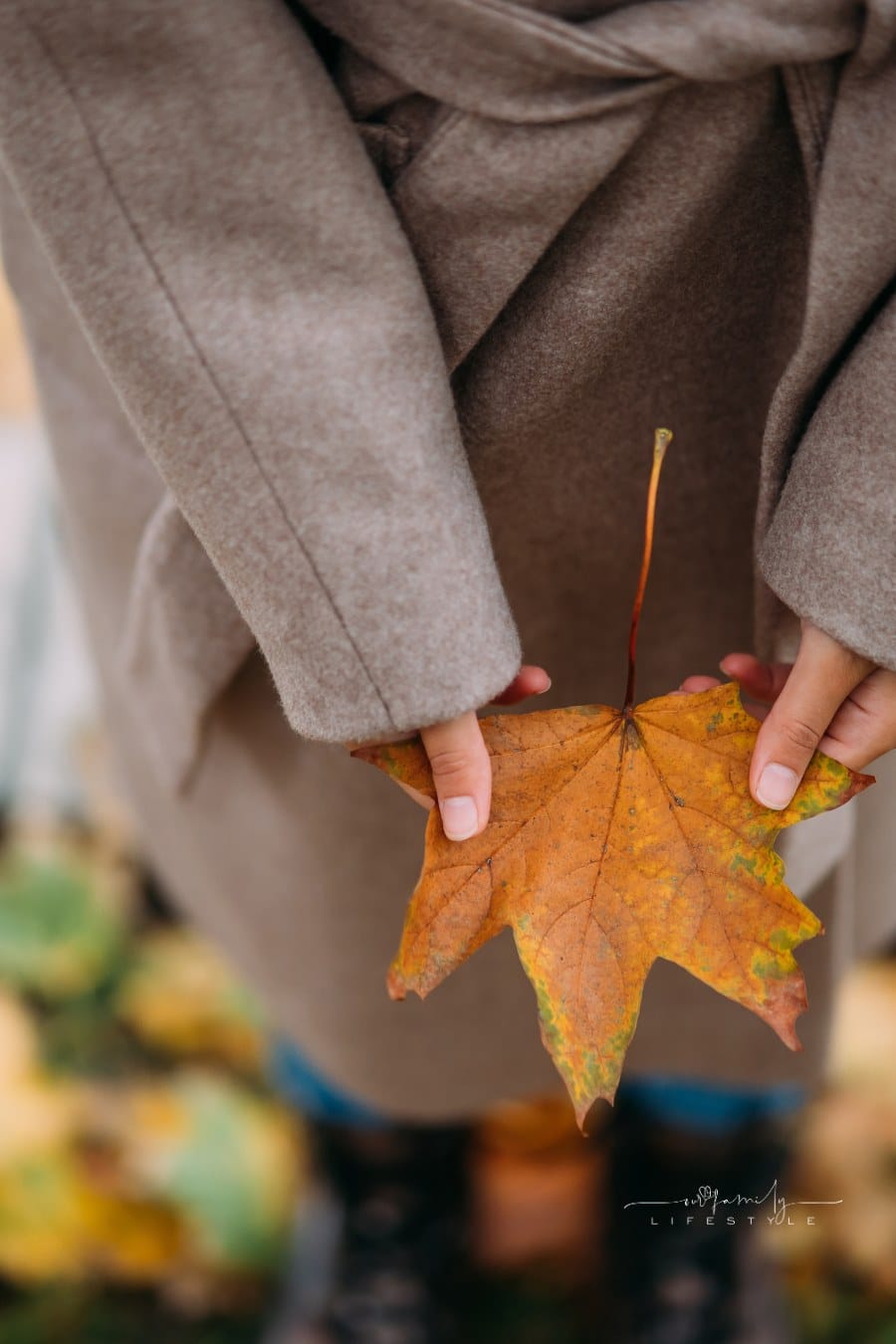 Autumn Leaves in Girl Hands Close View