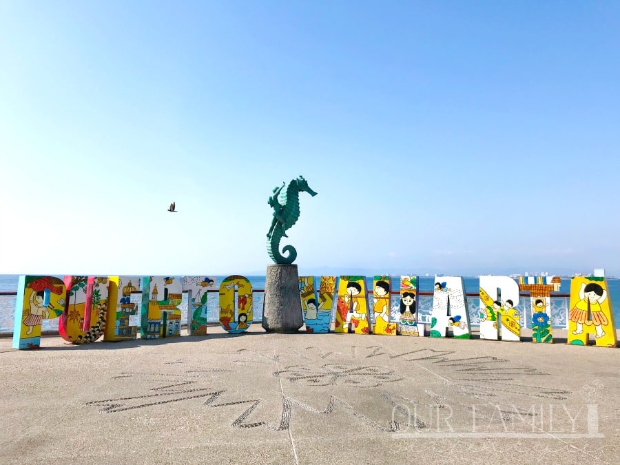 visit Puerto Vallarta