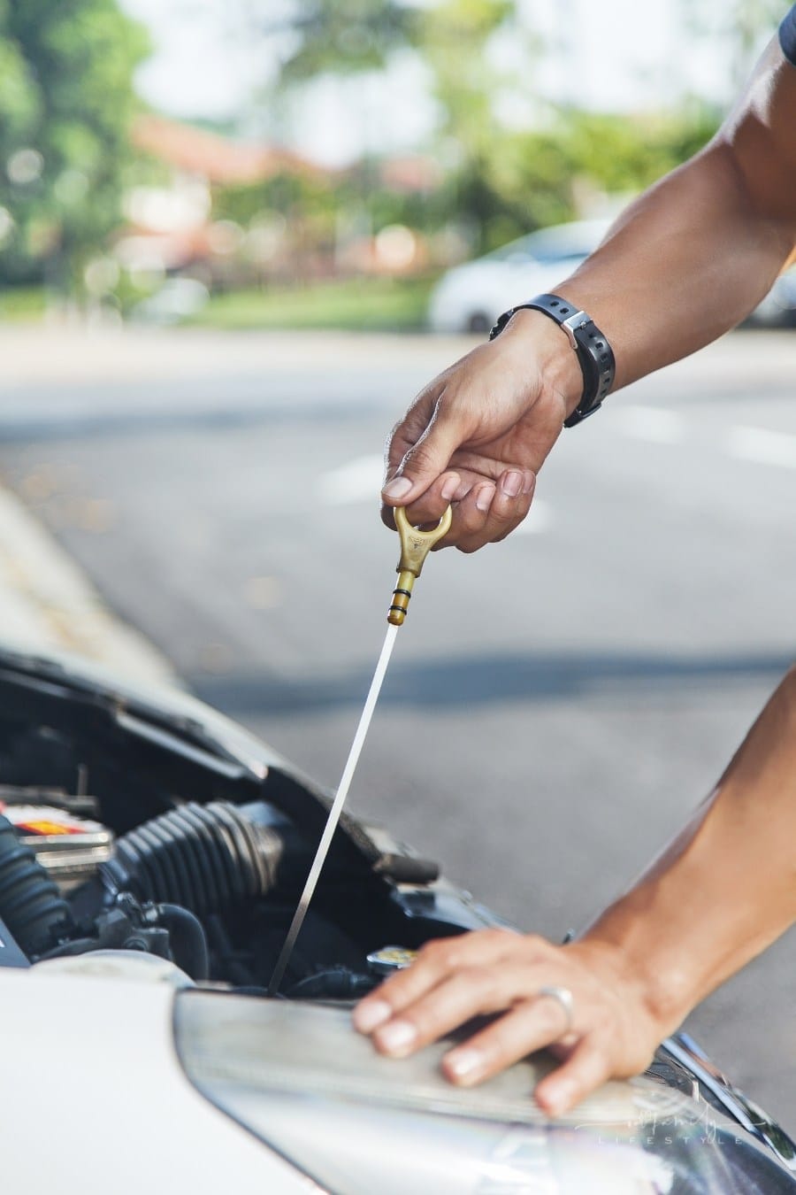 man checking car's motor oil