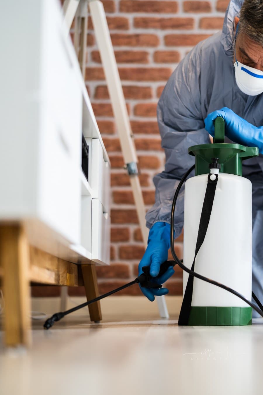 Pest Control Exterminator Services Spraying Insecticide