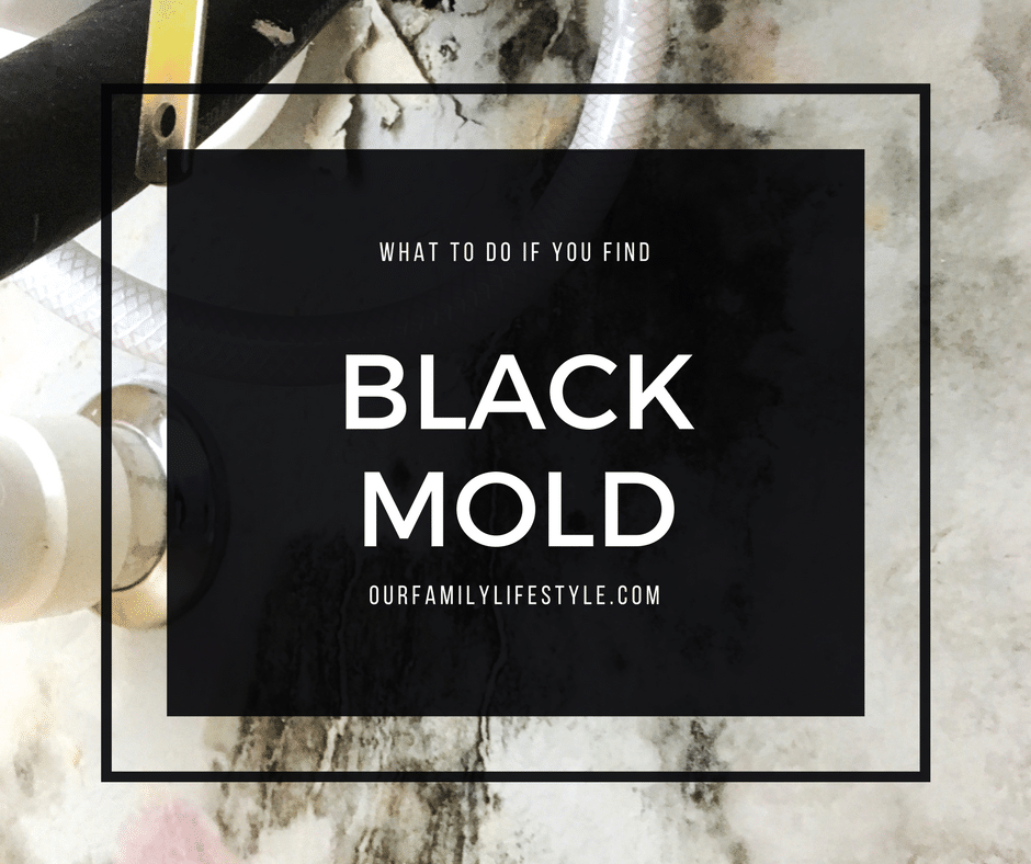 what to do if you find black mold