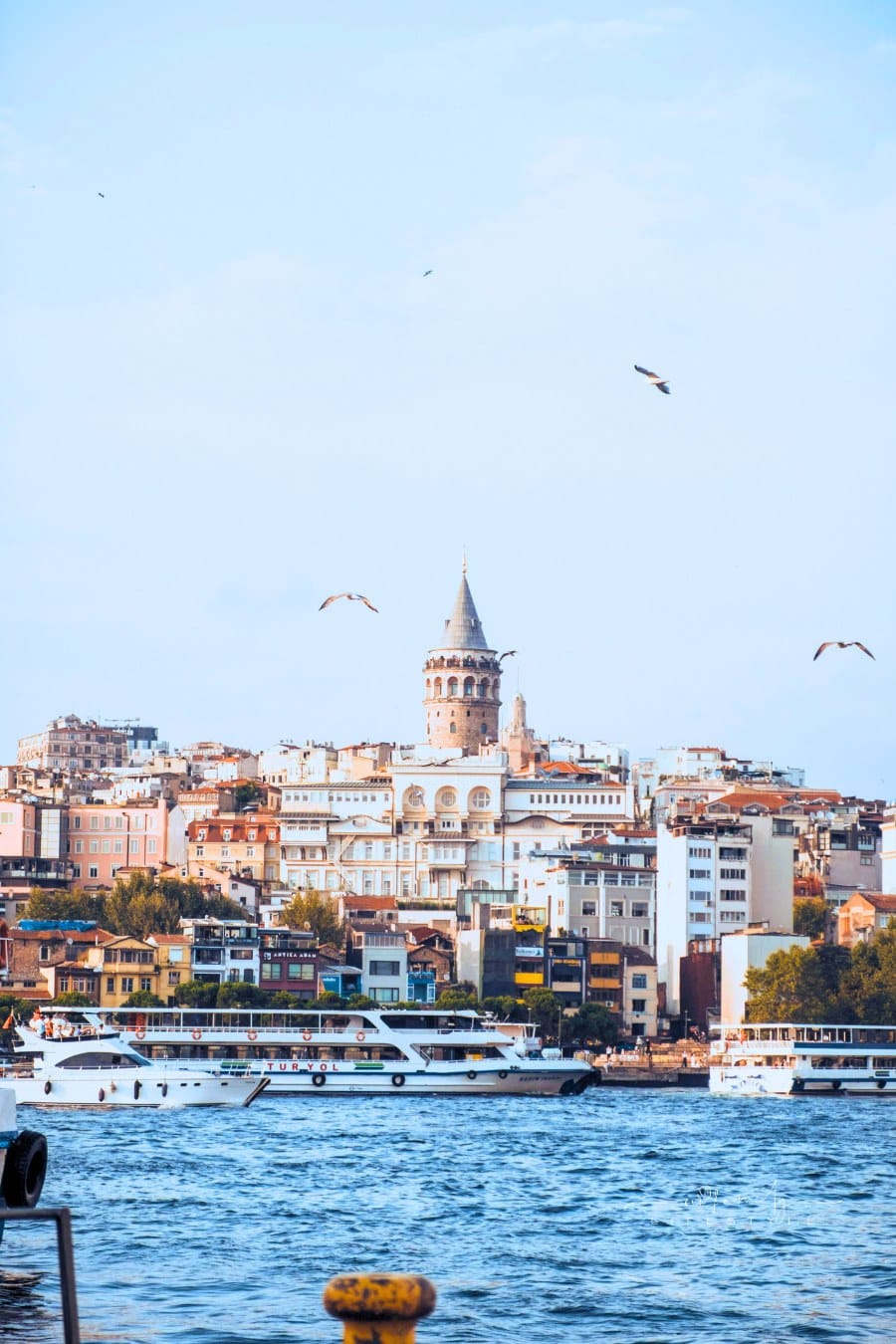 Birds Flying above Bosphorus Strait