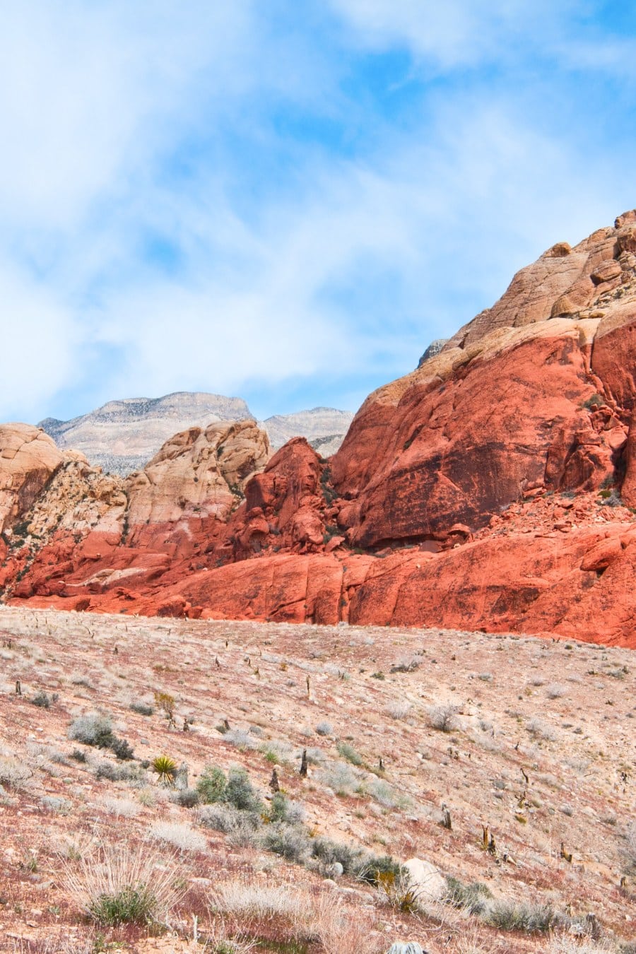 Red Rock Canyon near Las Vegas, Nevada