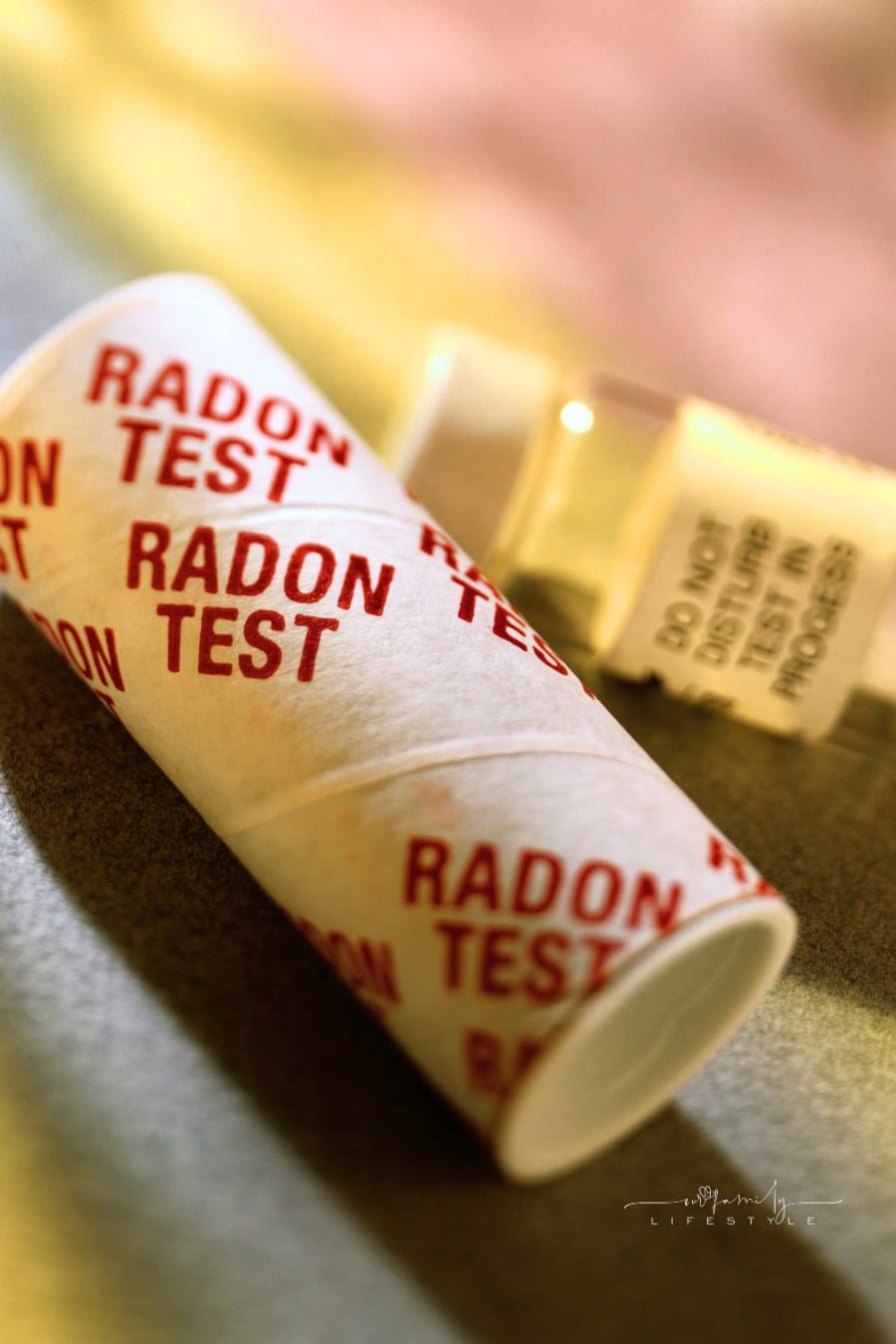 Radon Test Kit