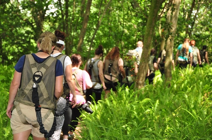 Wild Africa Trek - Disney Animal Kingdom