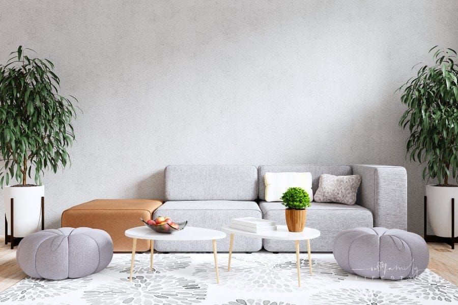 Modern Living Room Interior with Gray Sofa Against a Concrete Wall