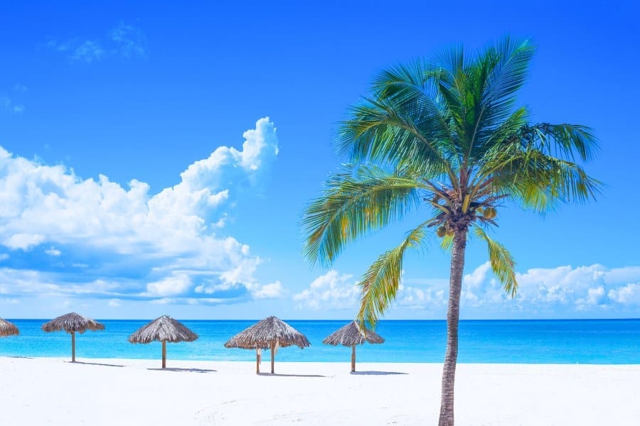 White sand beach with palm trees in Curaçao