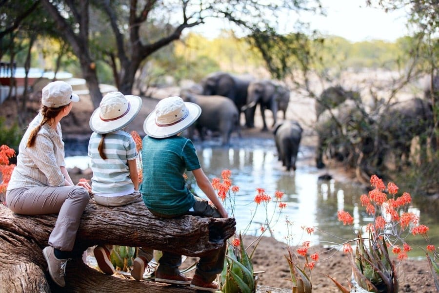 kids sitting on a log with mom as they observe a herd of elephants at a safari park
