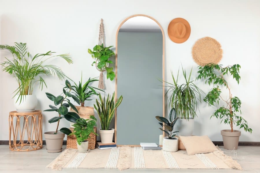 Stylish Full Length Mirror and Different Houseplants against a white wall in room