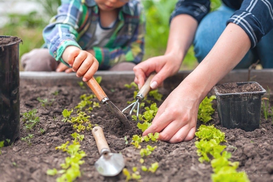 mother and young son gardening