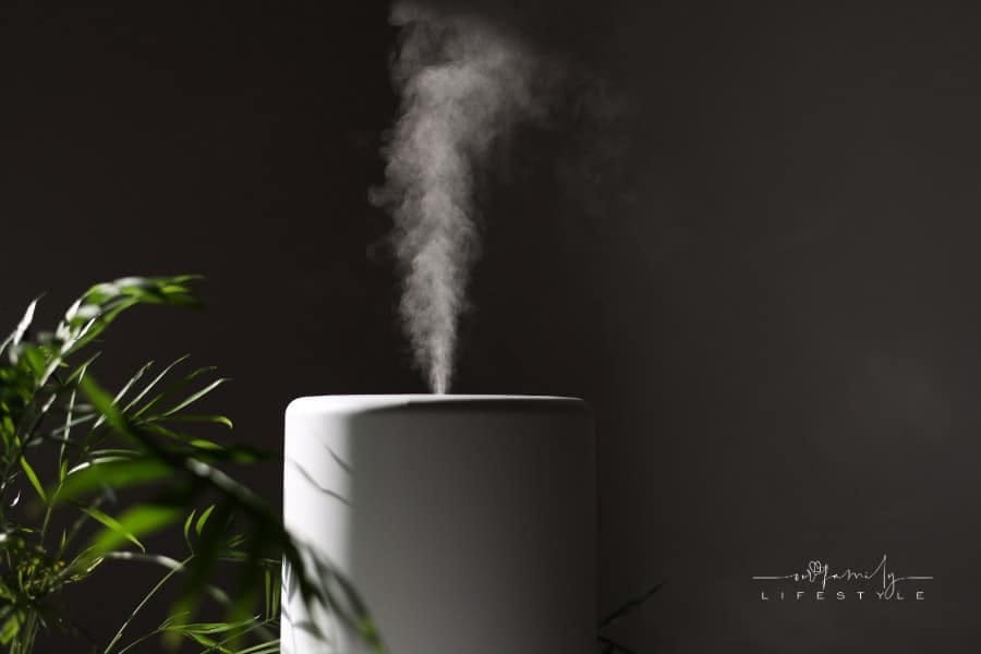 Air purifier and humidifier releases strong stream of cold steam close green houseplant. Care and hydration of houseplants in