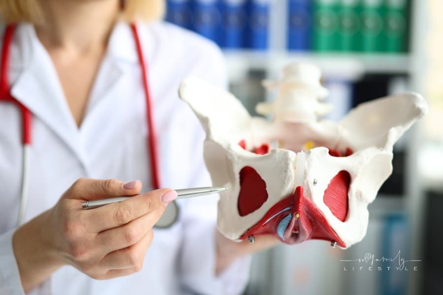 Doctor Traumatologist Demonstrating Bones of Pelvis to Students in Clinic Closeup