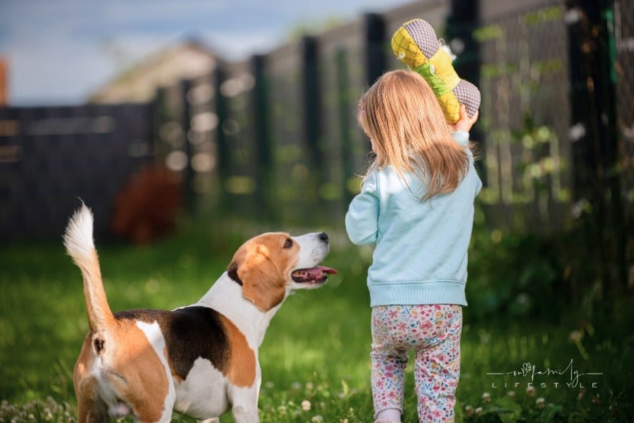 Toddler Girl Playing with Her Dog