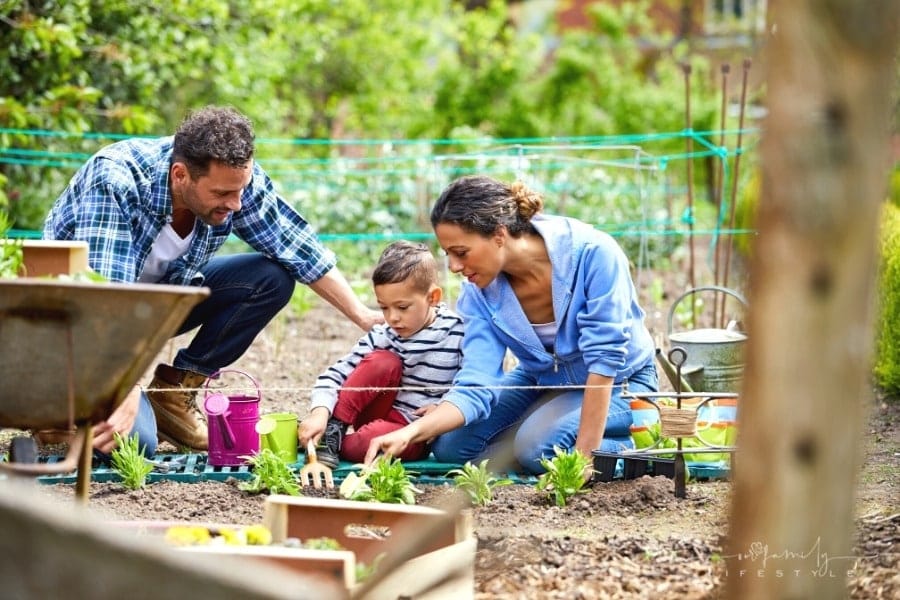 parents and child plating in backyard garden