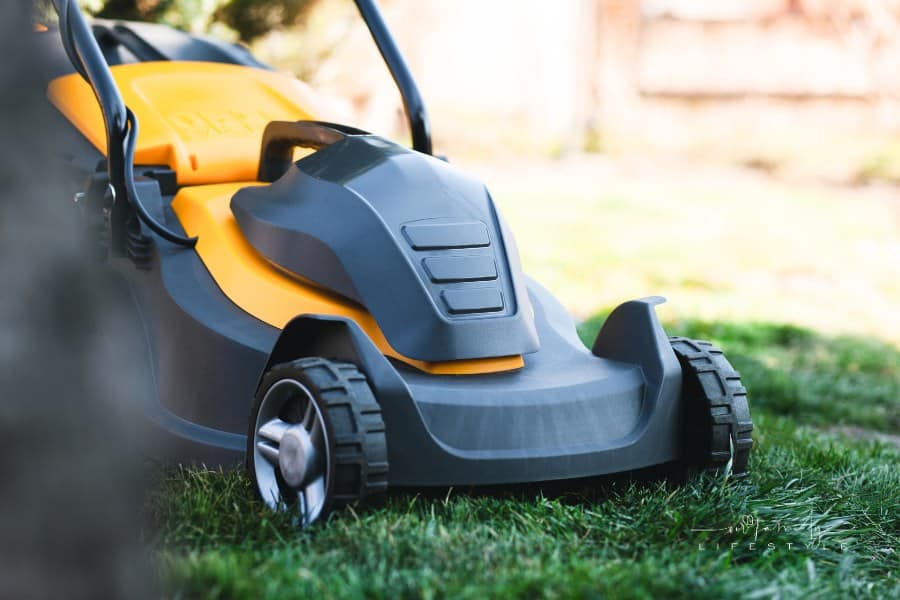 Electric Lawn Mower on Grass