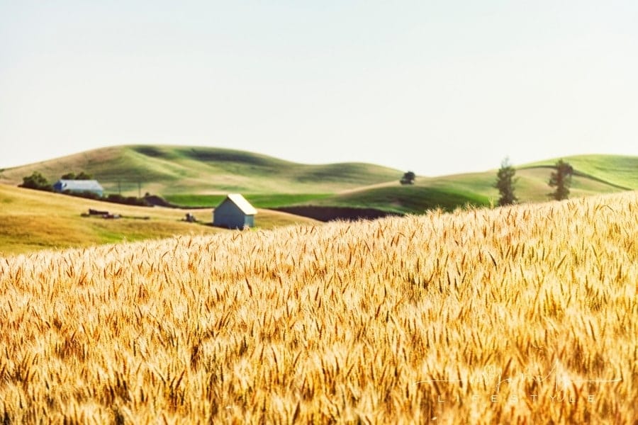 Why Is Our Nature Important If We Want to Have High-Quality Food?