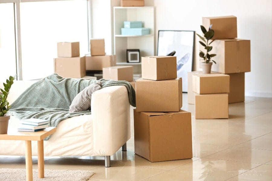packed moving boxes sitting in bright room with couch andplants