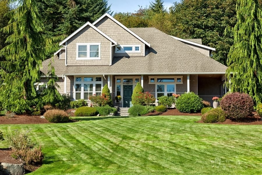 Take Proper Care of Your Family's Home Lawn