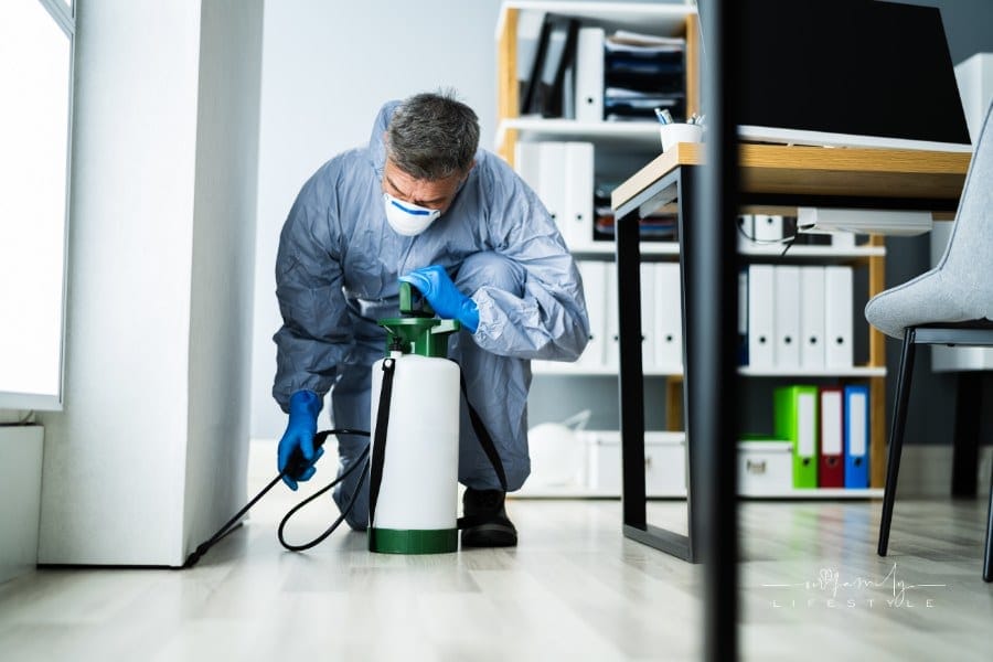 Pest Control Exterminator Services Spraying Insecticide